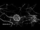Nanobots replacing neurons