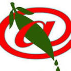 Herbal treatment for sexual weakness, obesity, hair fall, skin problems, joint problems and all other problems