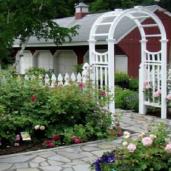 Plants and Gardens