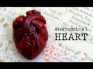 DIY Anatomical Human Heart Polymer Clay Magnet Tutorial