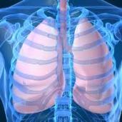 PULMONOLOGY IN PRACTICE
