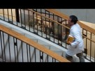 Harvard Medical School in Motion