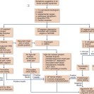 Management of acute coronary syndrome
