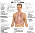 Viral Infections