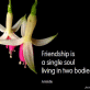 Good Quotes