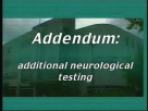 Neurological Examination Part 6