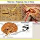 Medical Knowledge